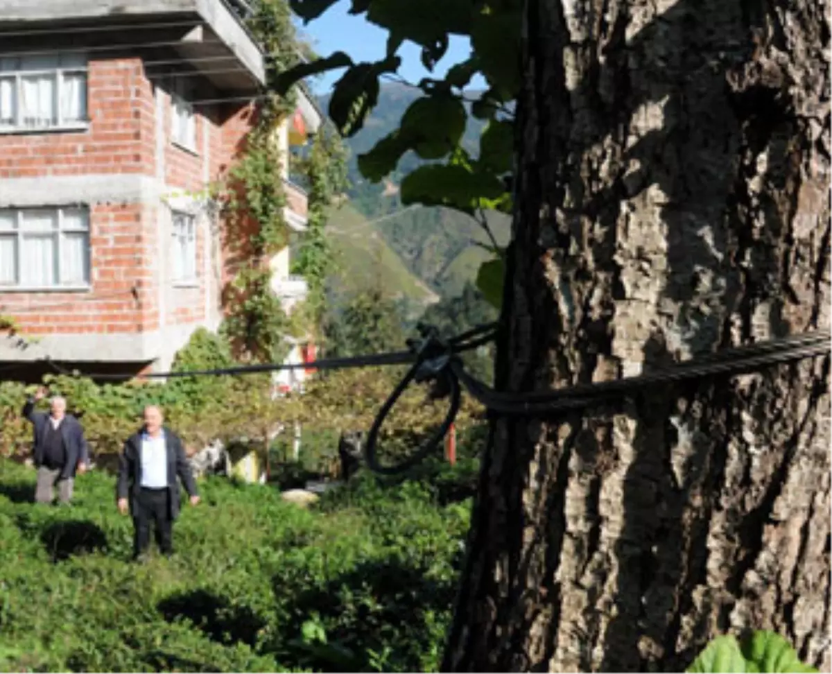 Evlerini Sağlam Kazığa Bağladılar!