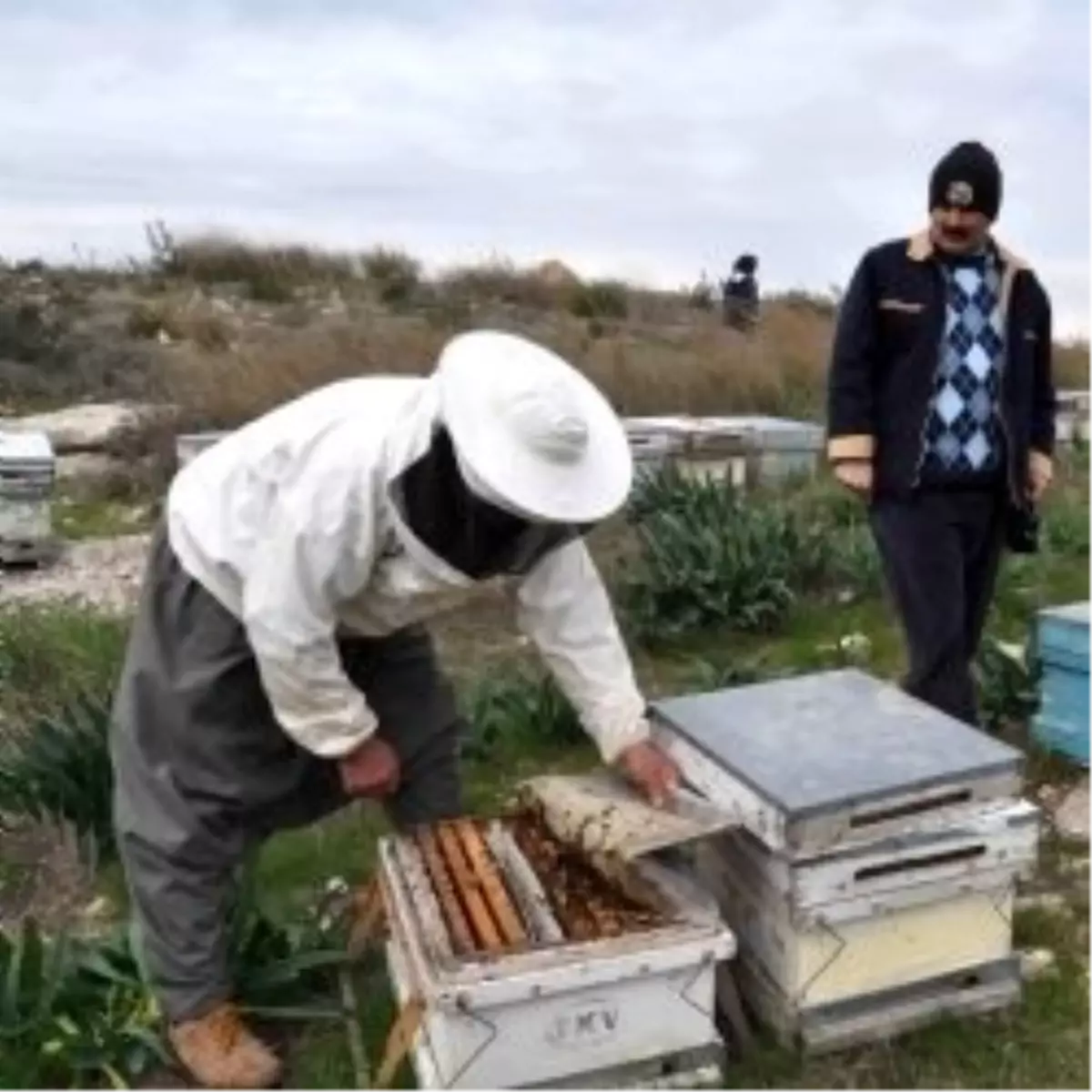 Tunceli Dağlarında Organik Bal Üretimi