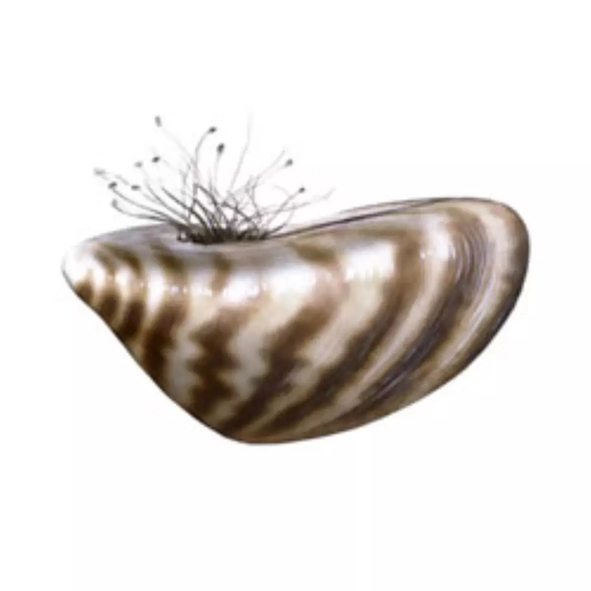 Sci Tech TV’de "The Most Extreme"