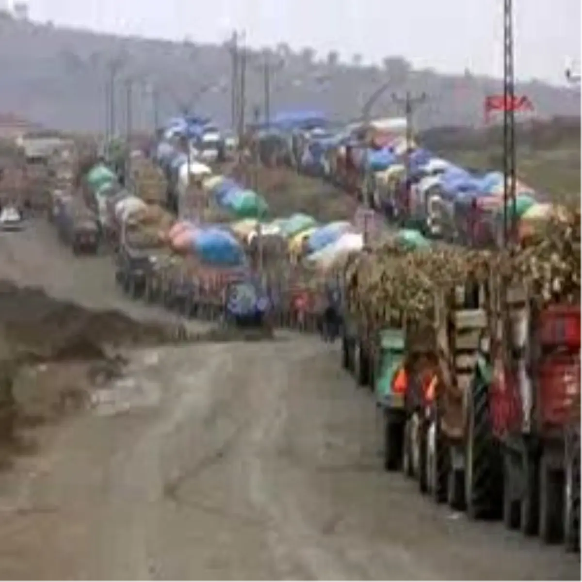 Pancar Çiftçisinin Kuyruk Çilesi