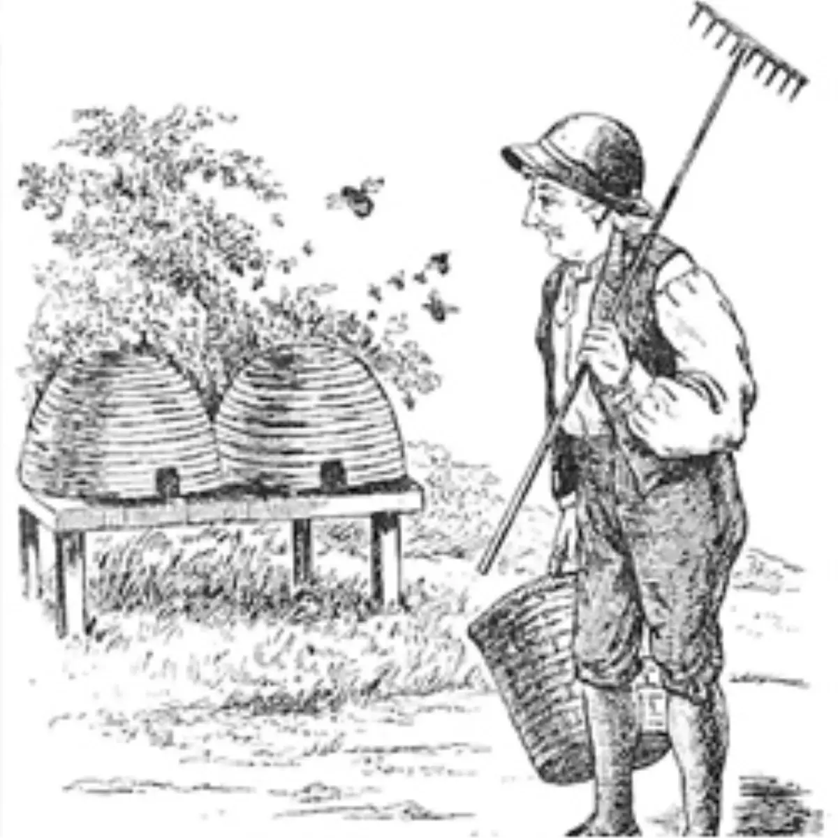 'Hepimiz Biraz Türküz'