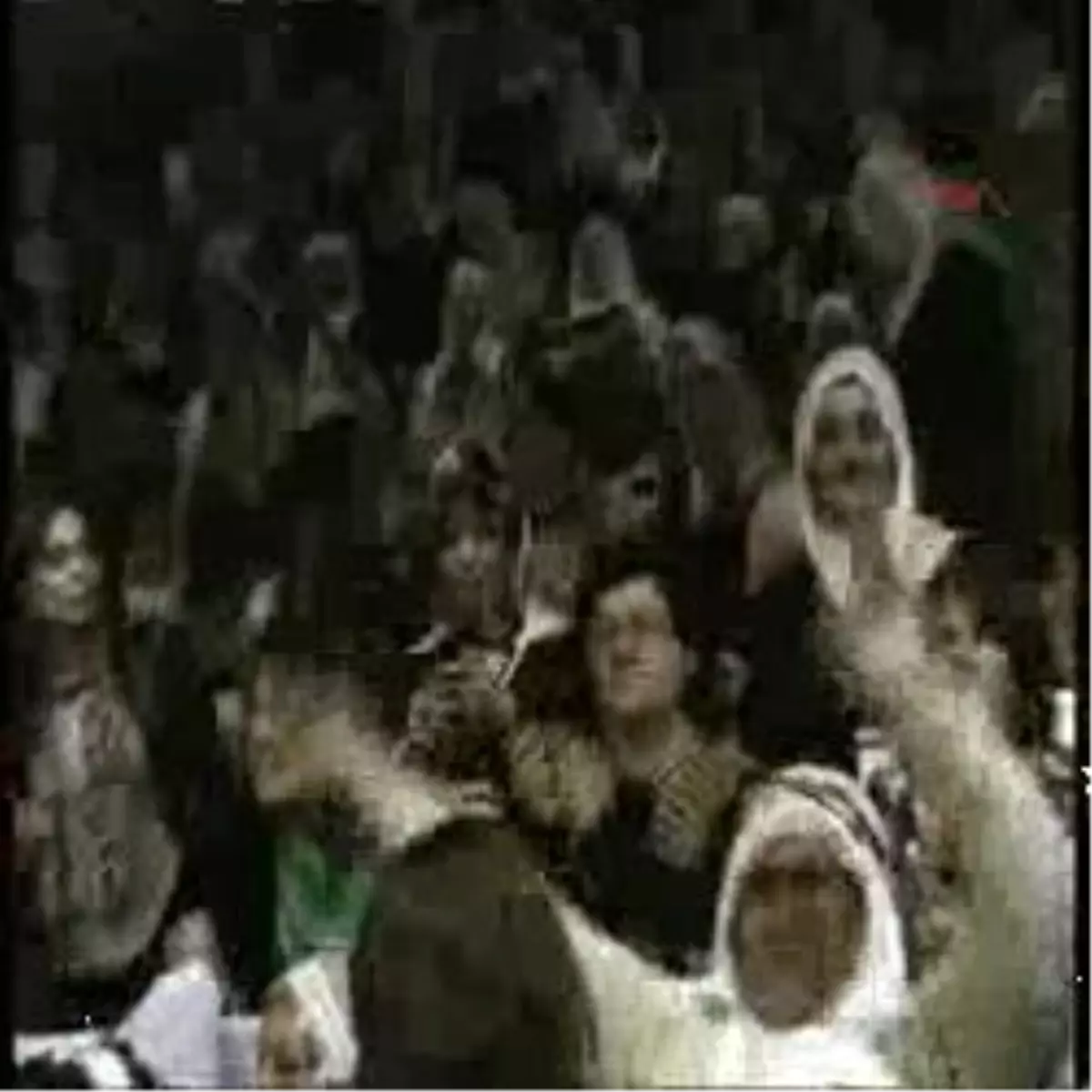 Diyarbakır 2 Leyla Zana, Bdp\'nin Kadın Kongresinde Kadınları Azarladı