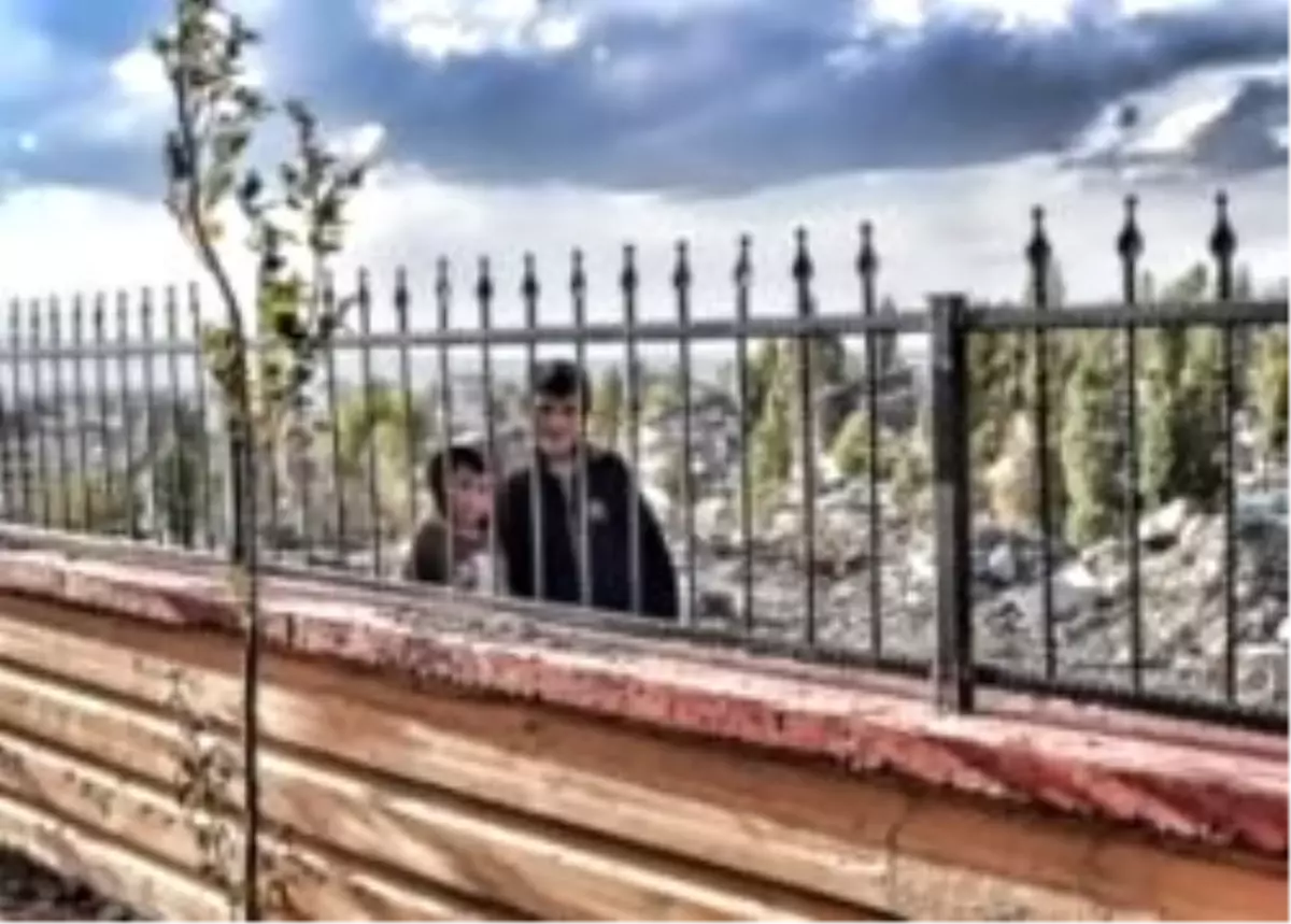 Kayak, Körling, Paten, Cag Kebabı ve O Çocuklar...