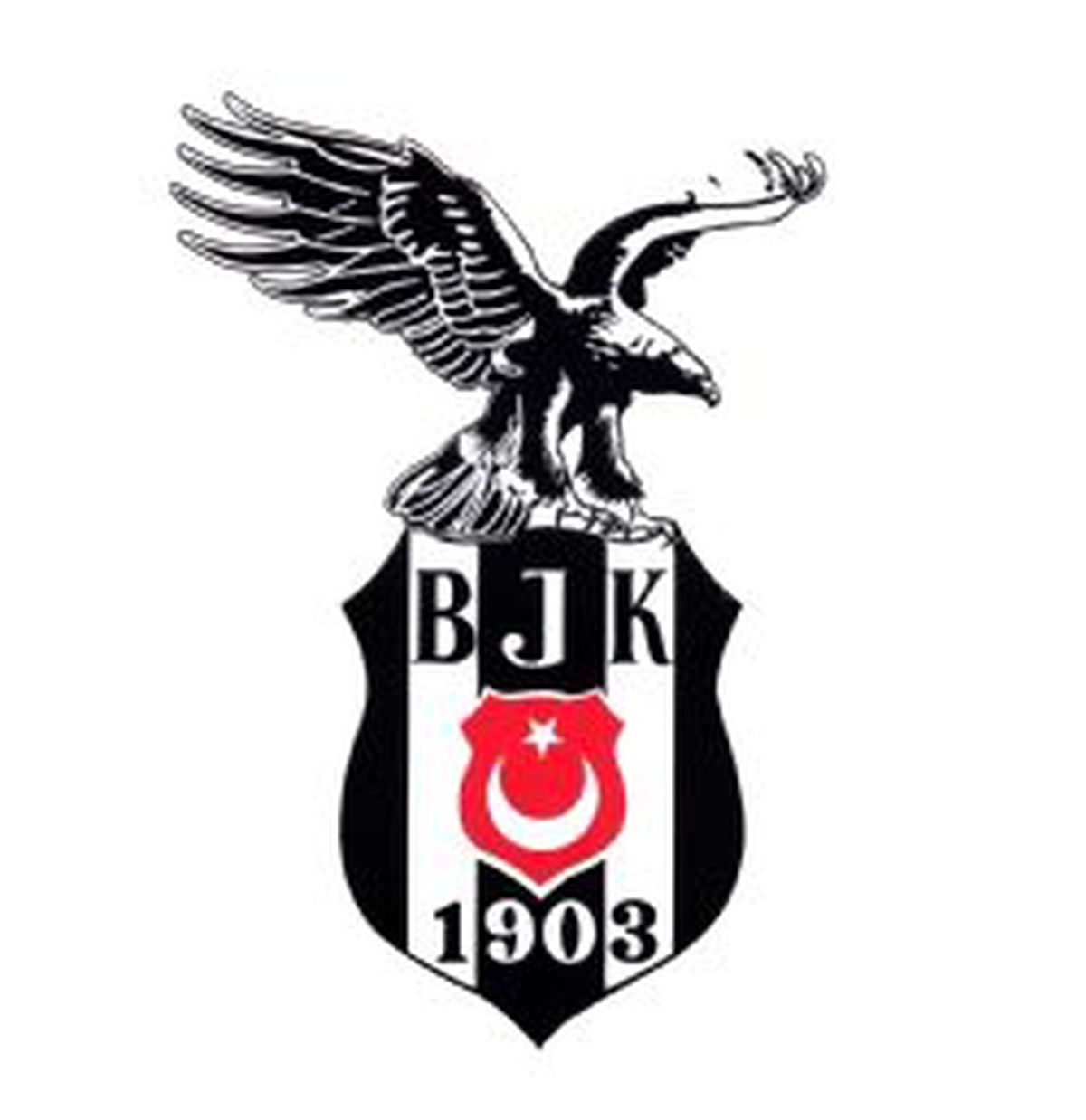 Beşiktaş Kafilesi İstanbul\'a Geldi