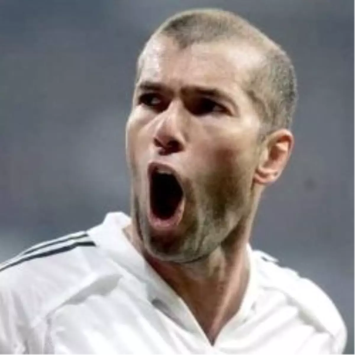 Zıdane, Kafa Attığı Materazzı İle Barıştı