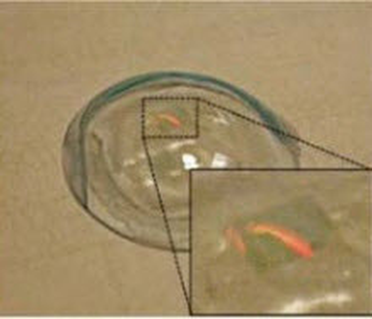 Görünmezlik Pelerininde Önemli Adım!