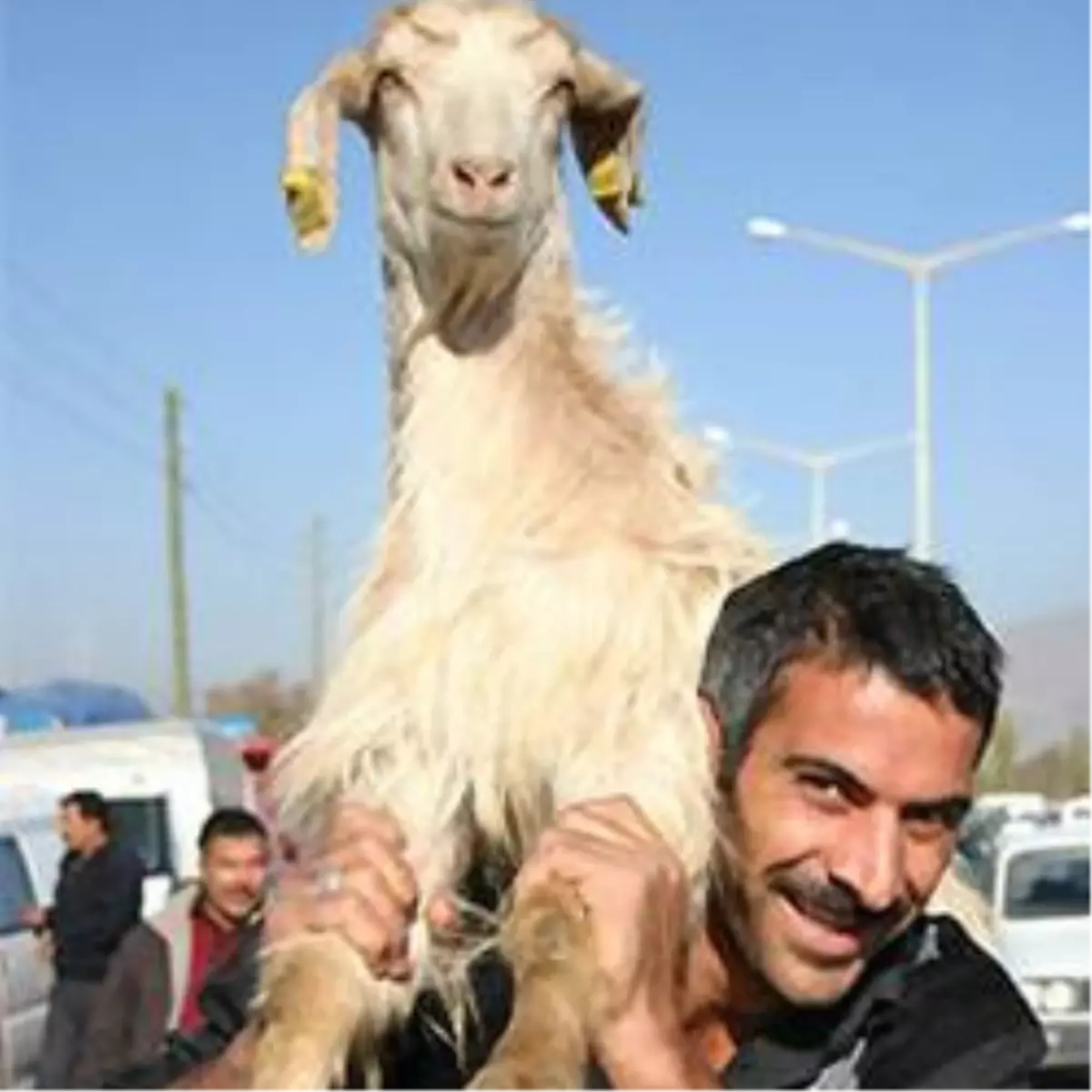 Bu Haberi Okumadan Kurban Eti Yemeyin
