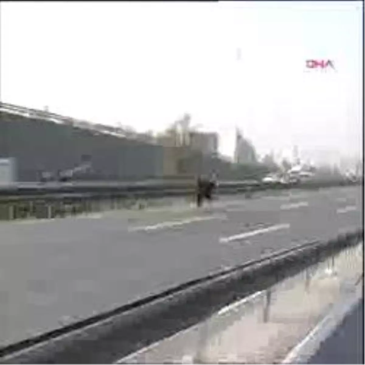 Kaçak Angus, TEM\'i Birbirine Kattı