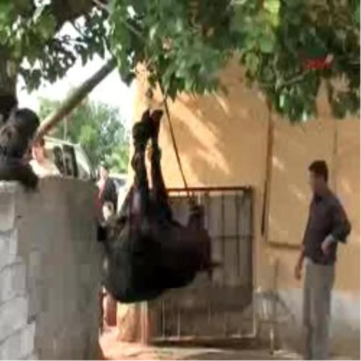 Antalya - Turizmin Başkentinden Kurban Manzaraları