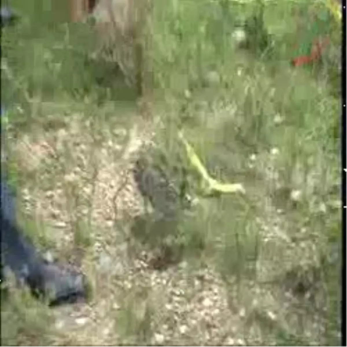 Arazide Bulduğu Fünye Patladı