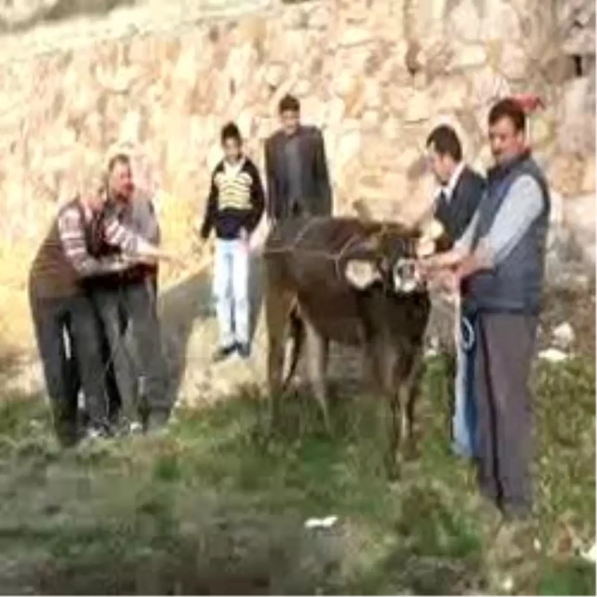 Yozgat\' Ta 17 Acemi Kasap