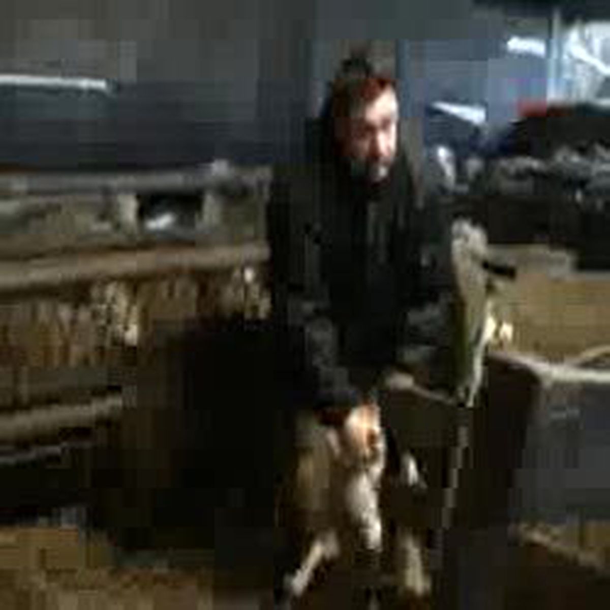 Almanya'da Kurban Kesen Çiftliklere Adeta Akın Oldu