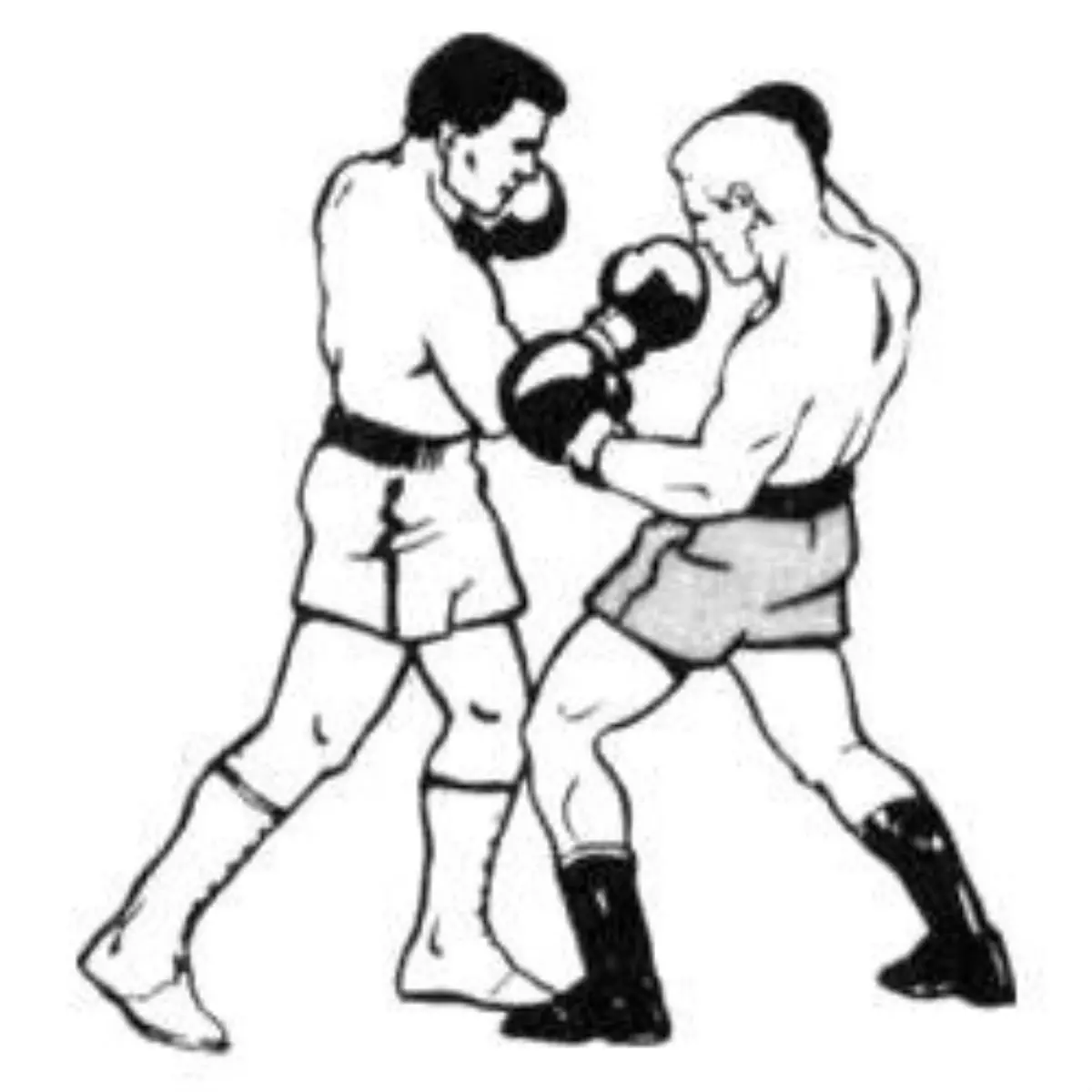 Dünya Boksunun Şampiyonlar Ligi "World Serıes Of Boxıng" Başlıyor