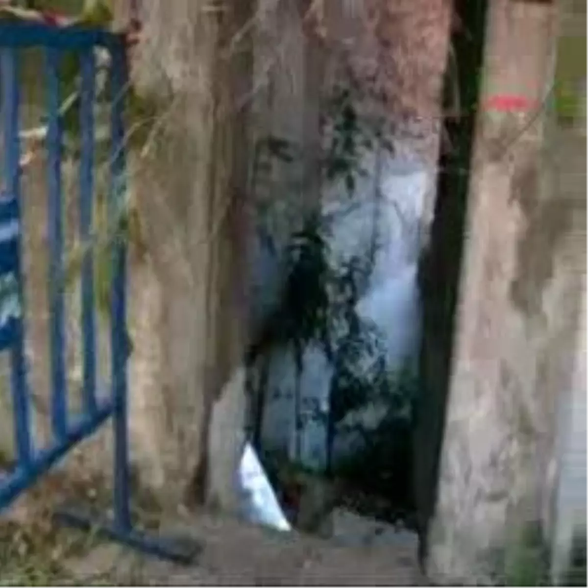 Yaşlı Çiftin İnadı Zabıta Ve Sağlık Ekiplerini 4 Gün Nöbet Tutturdu