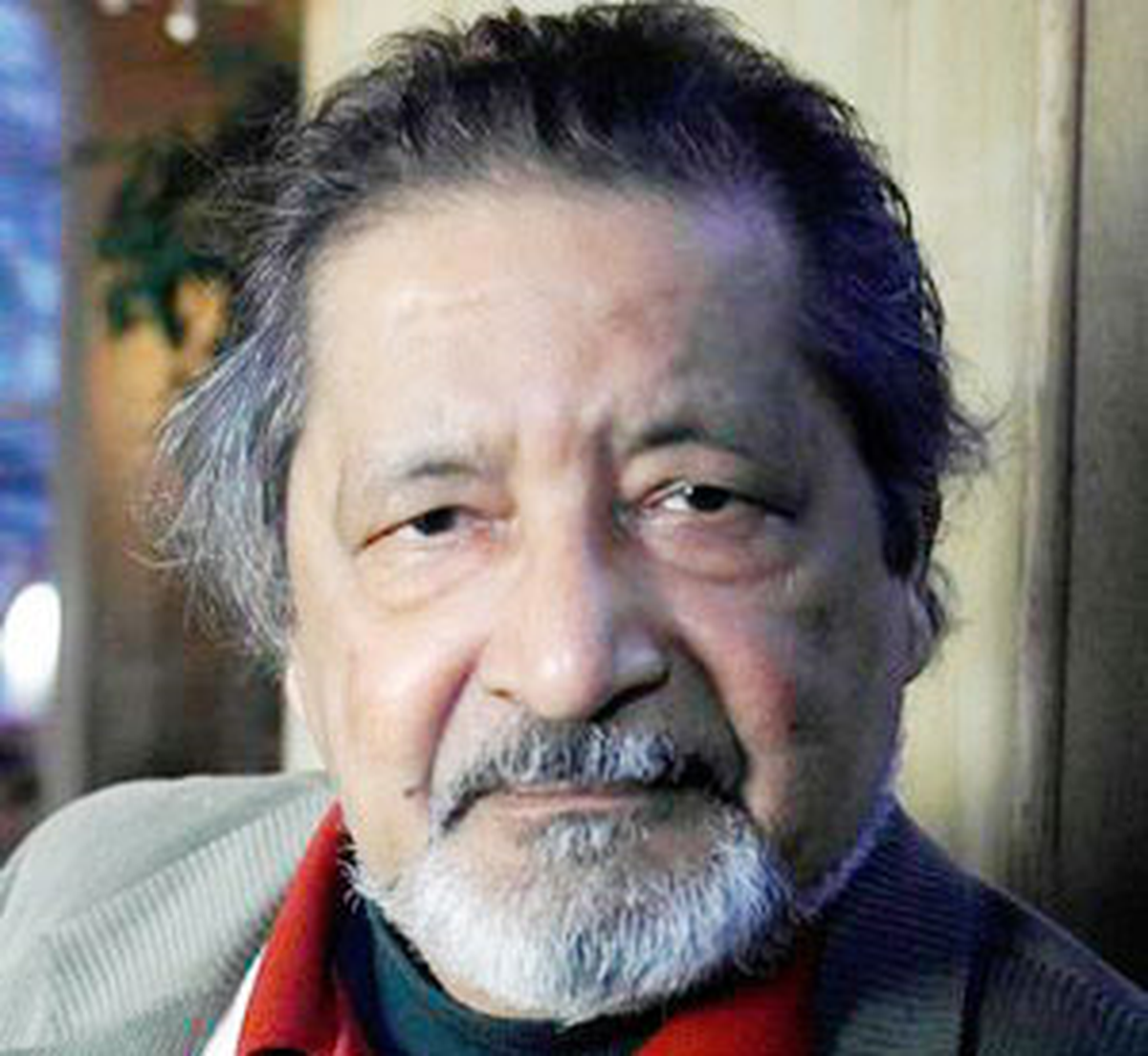Naipaul Gelmiyor!