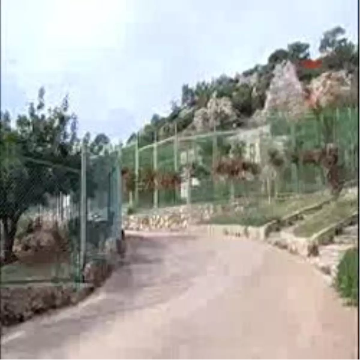 Antalya - Hayvanat Bahçesinde Güvercin Hırsızlığı