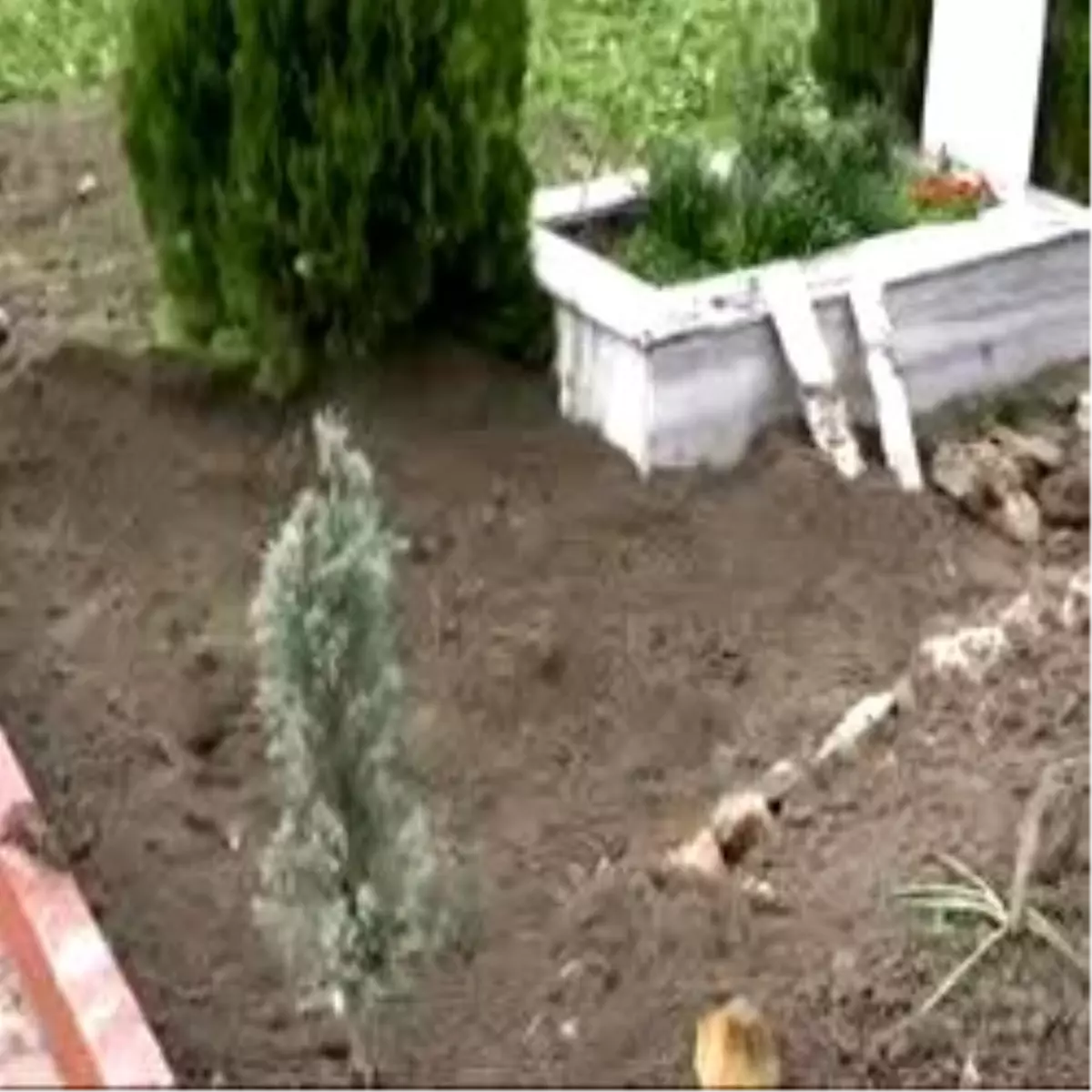 Arifcan Bebeğin Mezarı Savcılık Tarafından Açıldı