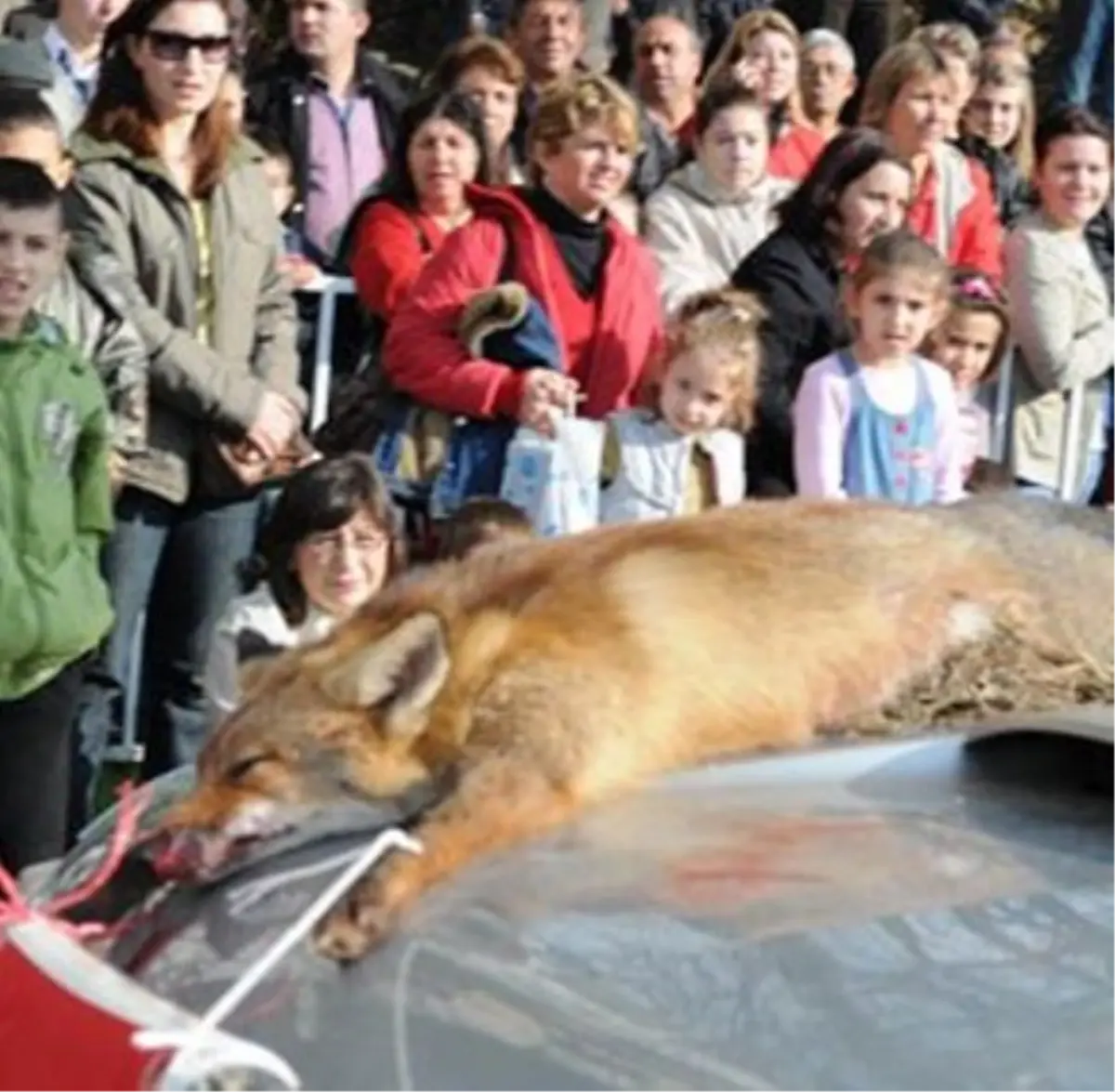 Avcılara Soruşturma