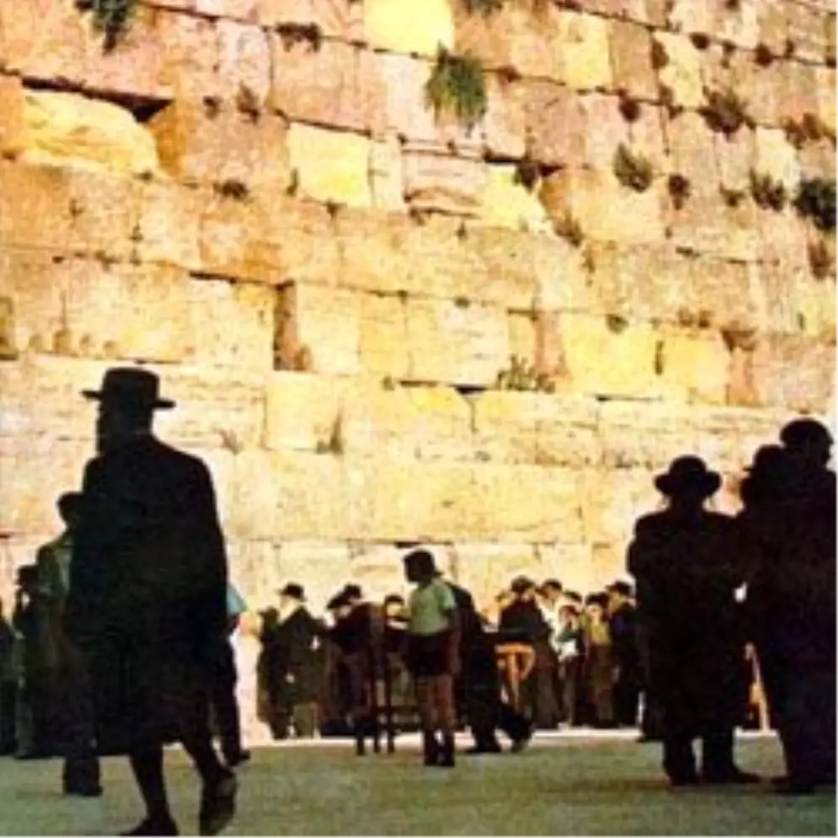 İsrail ve Filistin Yönetimi Arasına Ağlama Duvarı Girdi