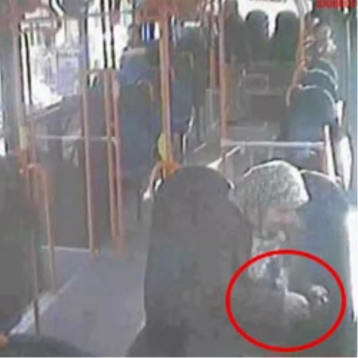 Ne Yaptın Teyze Sen?