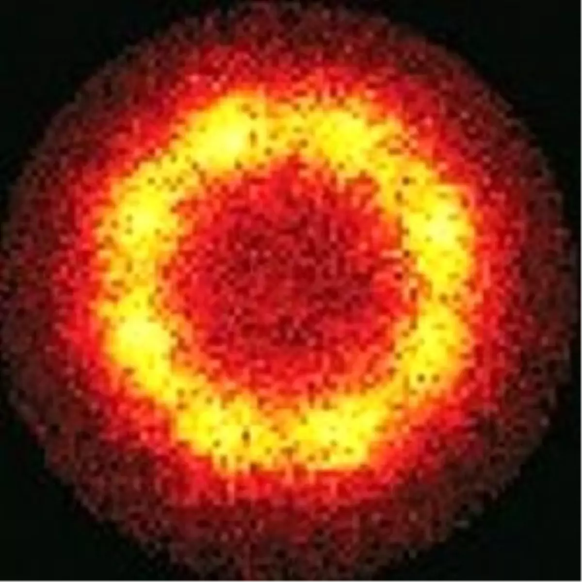 Kurşun İyonlarıyla Yapılan Deneyler İlk Sonuçlarını Verdi