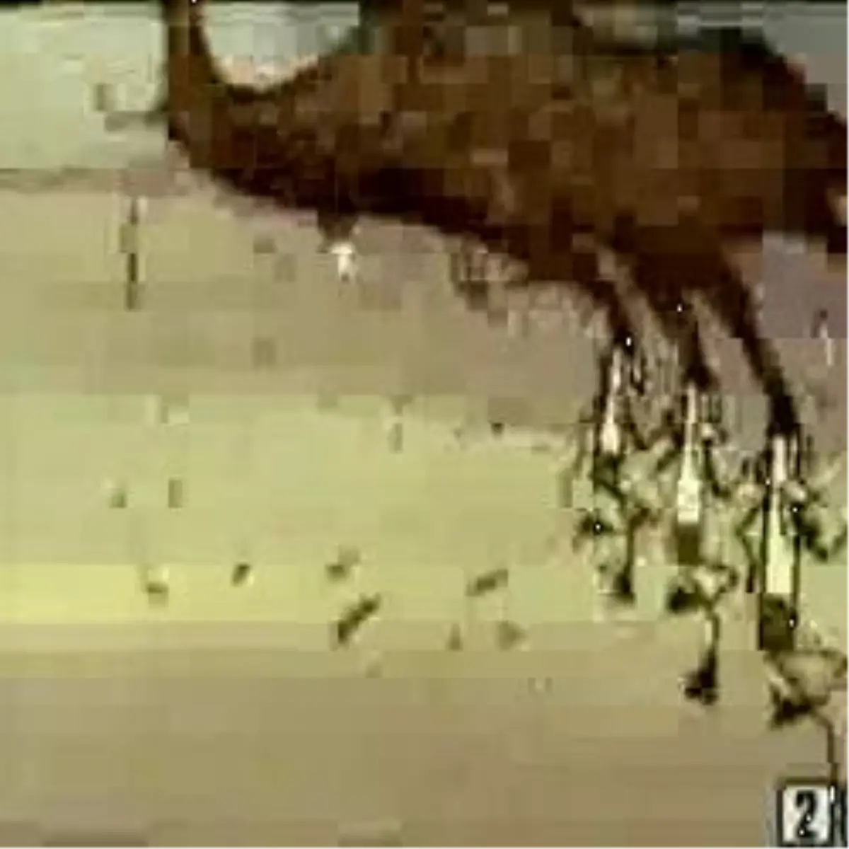 Rusya Sigara Karşısında Çaresiz