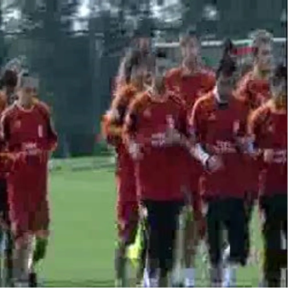 Aslan Kasımpaşa\'ya Bileniyor