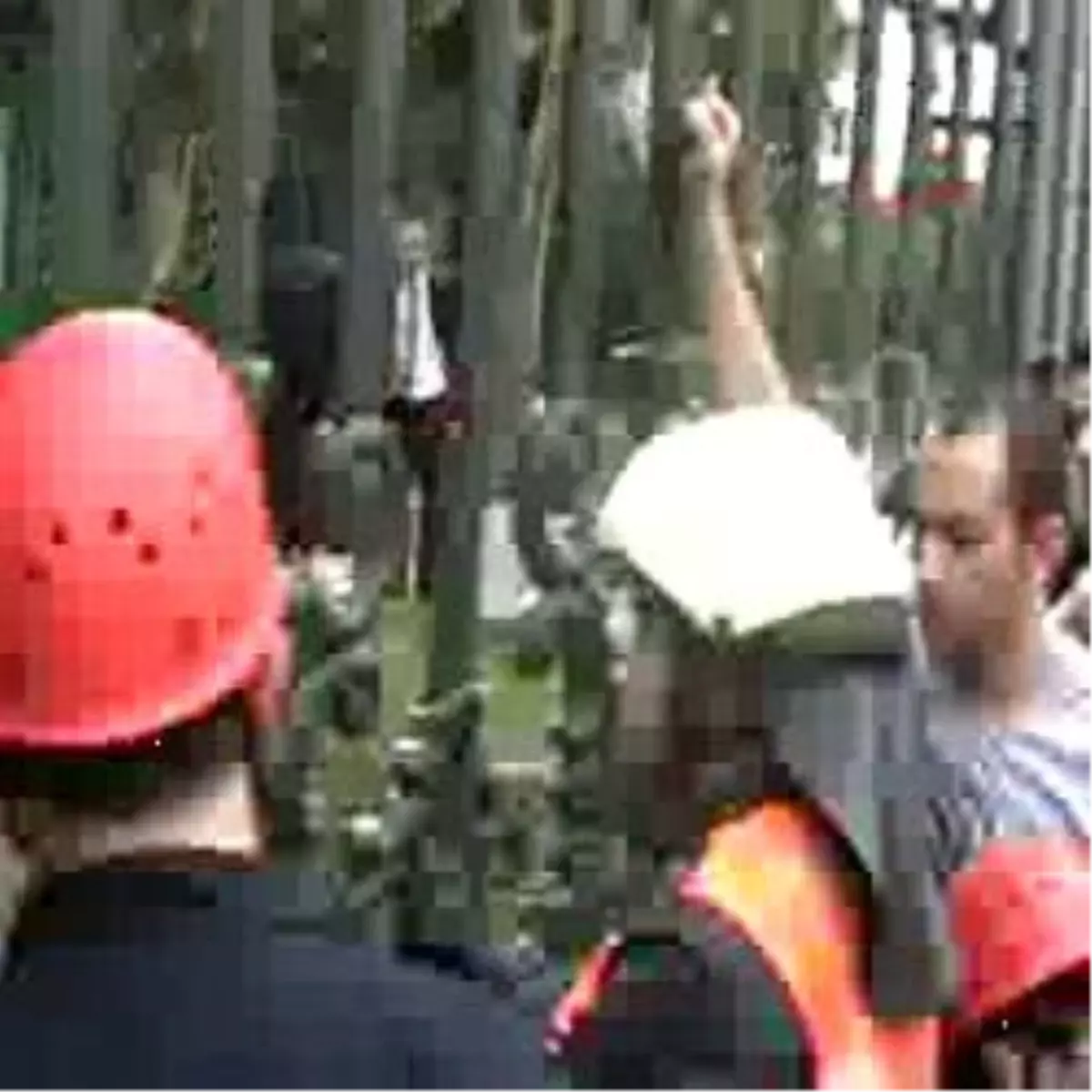 Galatasaray'ın Korkuluklarına Sıkışan Kediyi Kurtarma Operasyonu