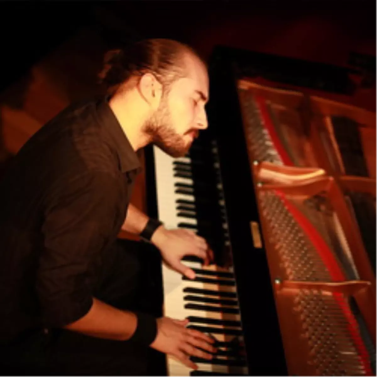 Çağrı Sertel Trio Konser