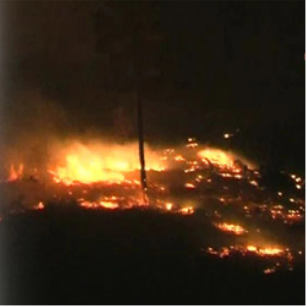 Orman Yangını: İki Köy Tehdit Altında