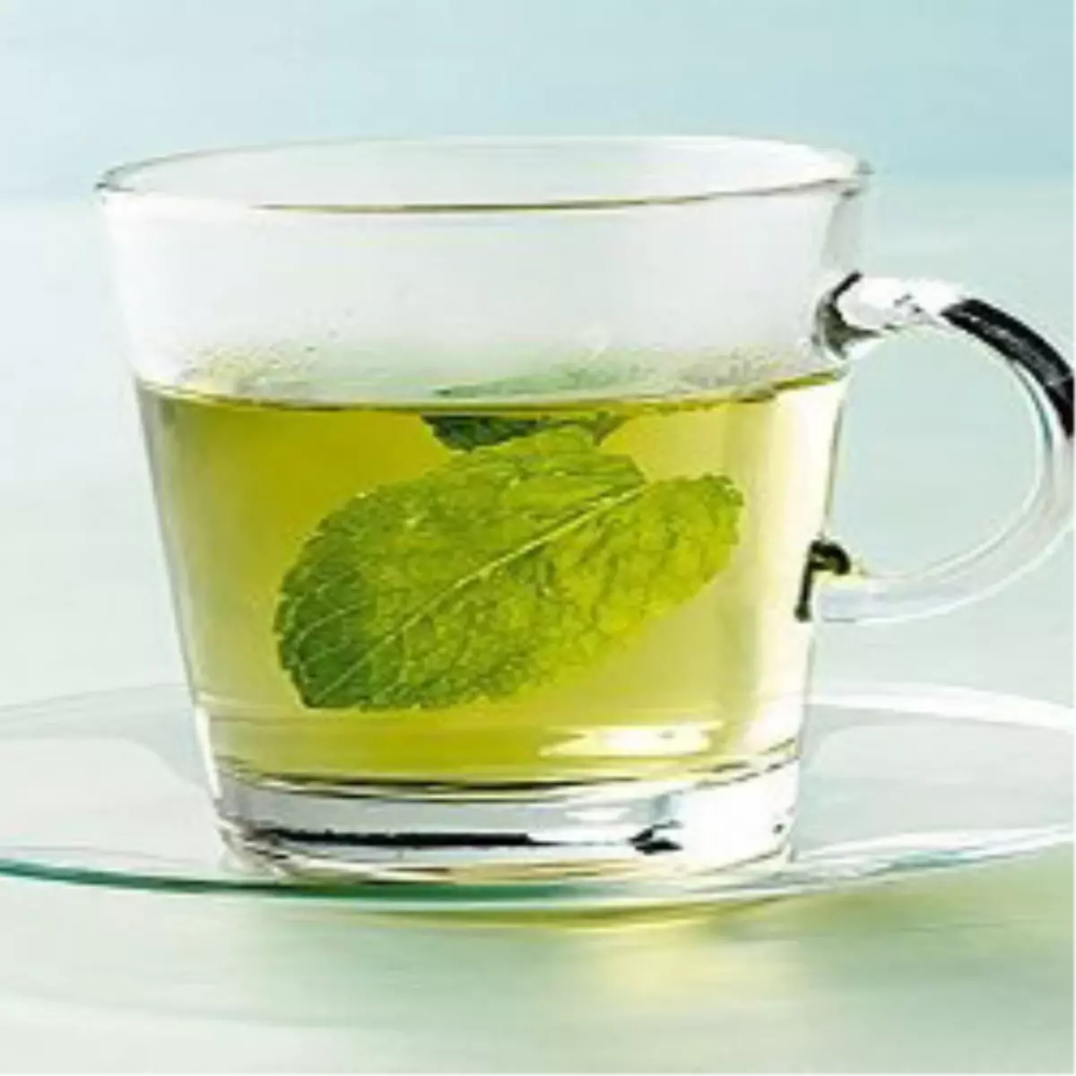 Tıbbi Nane Çayı Faydası