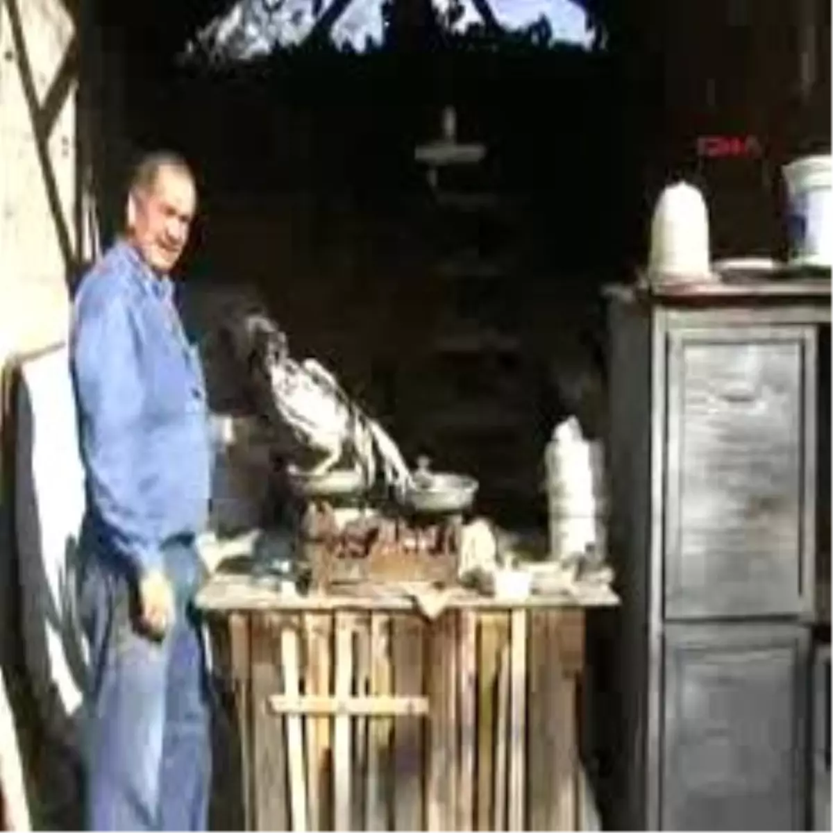 Horozlar İçin Federasyon Kuruldu