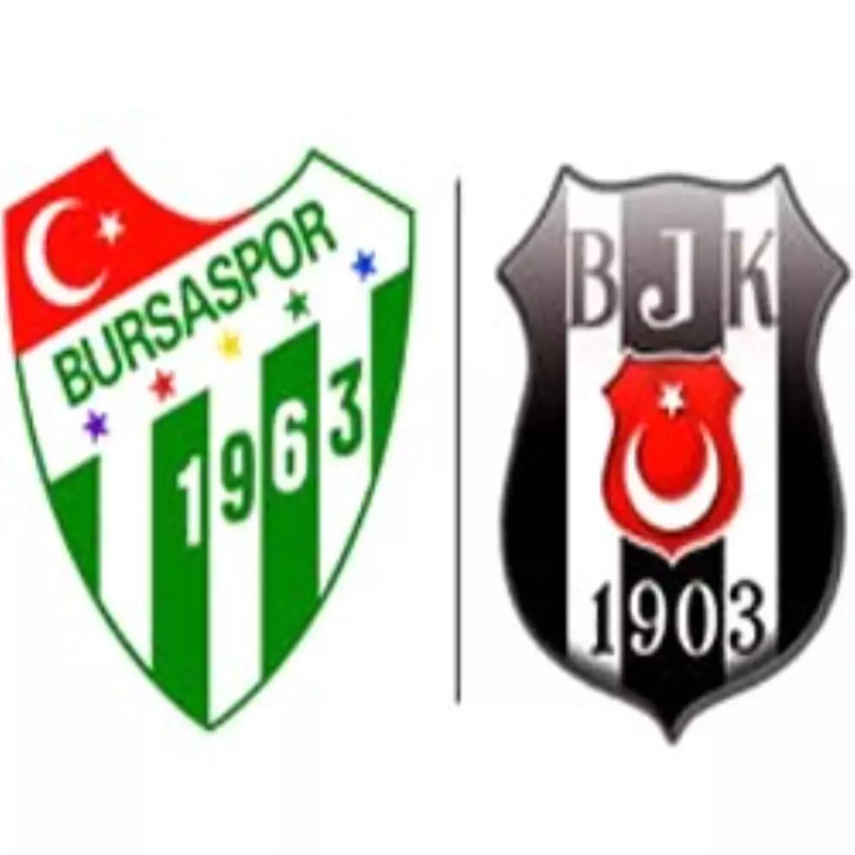 Bursasporlu Taraftar Sahaya Girdi