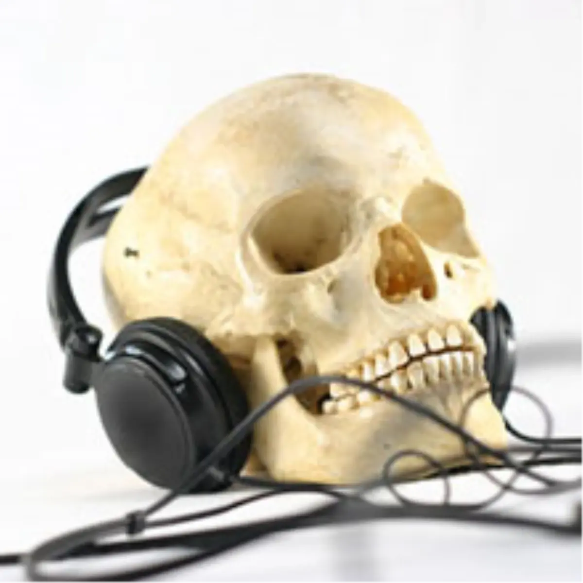 Google, Korsan Aramaları Tanımlayacak!