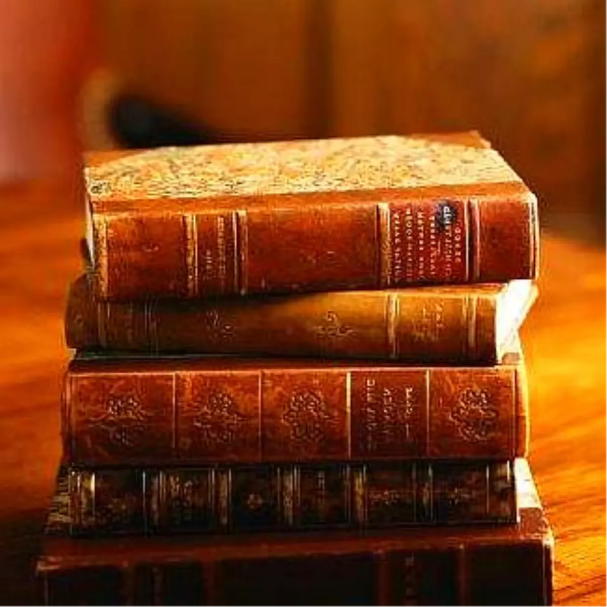 Bir Kitap İçin 11,5 Milyon Dolar