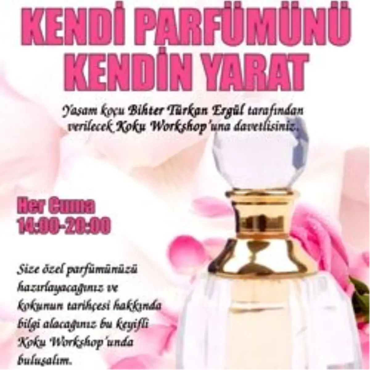 City’s de Kendi Kokunu Kendin Yarat!