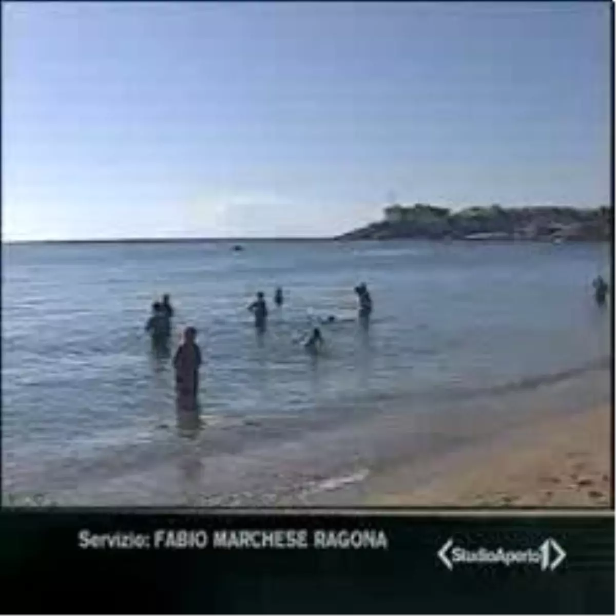 İsrail:Mısır'daki Köpek Balığı Saldırısıyla İlgimiz Yok