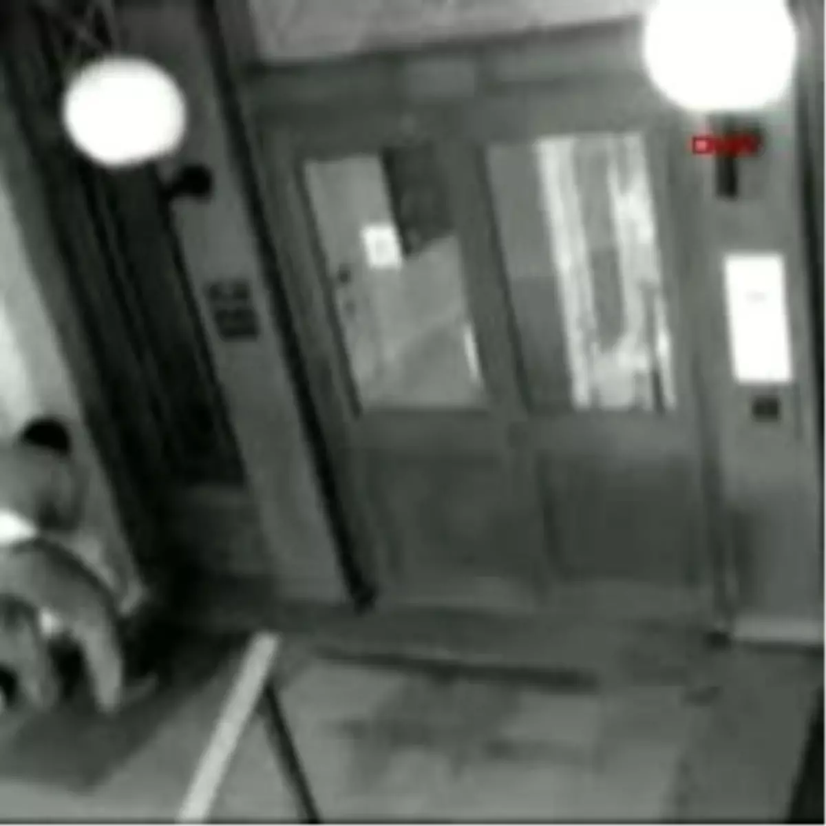 Yavru Köpeği Defalarca Tekmeledi... İngiltere Bu Görüntüyü Konuşuyor