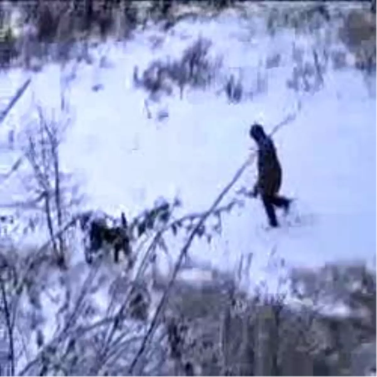 Almanya\'da "Beyaz Esaret"