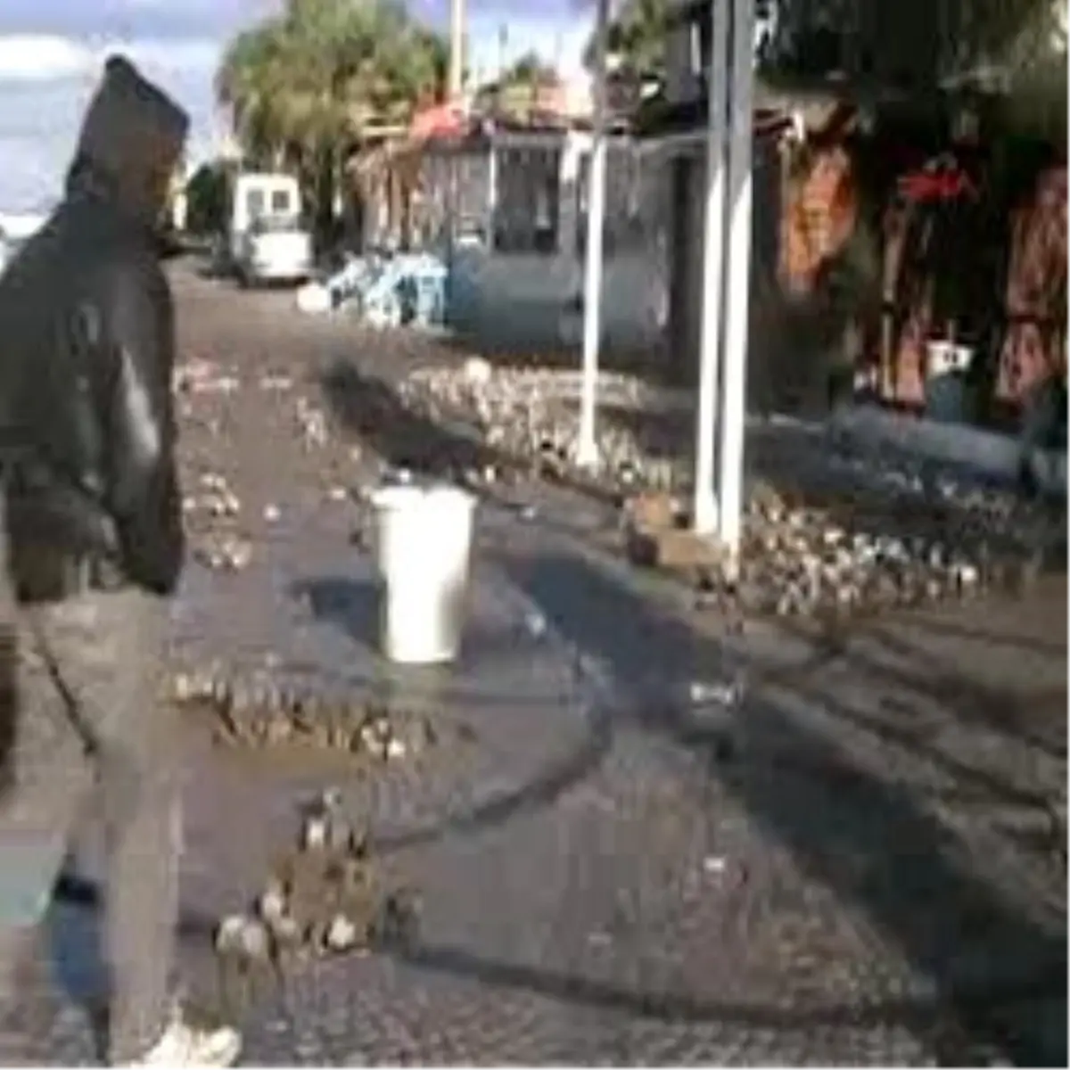 Turgutreis\'i Fırtına Vurdu