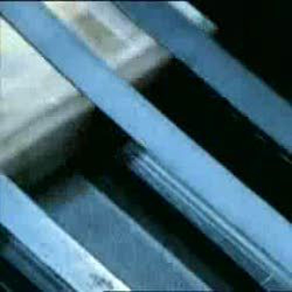 Alman Lotosu\'nda Çılgın Para