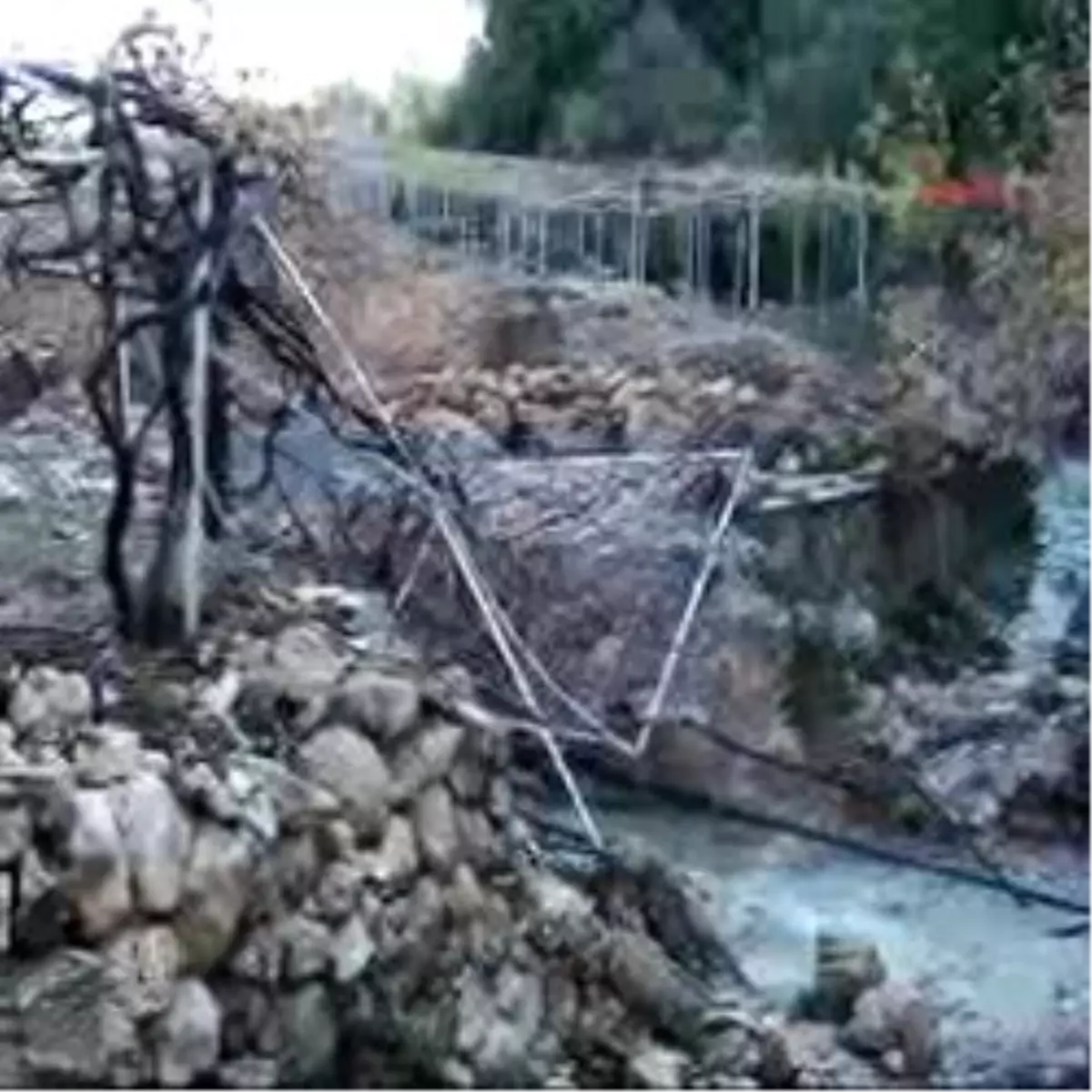 Fethiye\'de Selden Üzüm Bahçeleri De Zarar Gördü