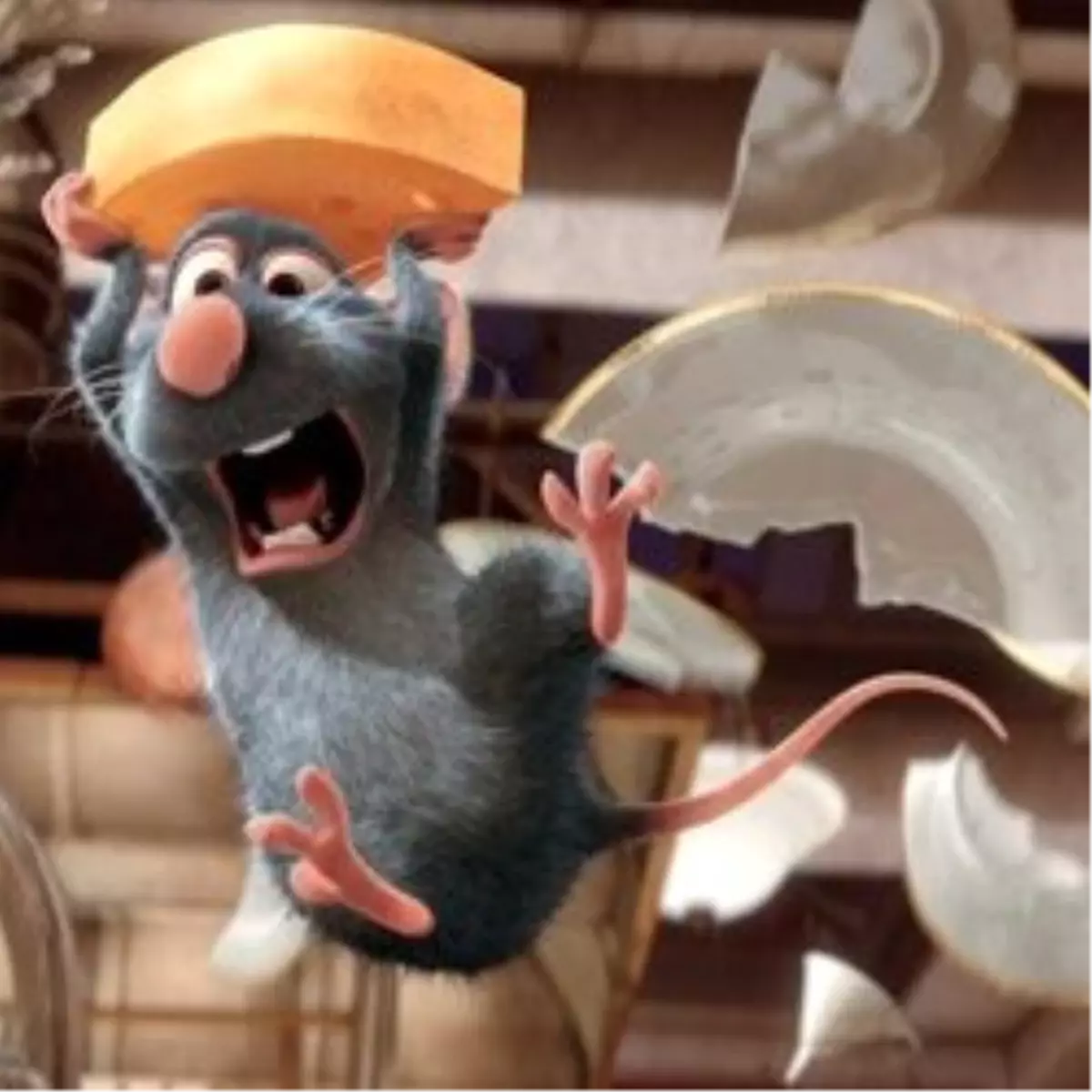 Tv’de İlk Kez, Ratatoulille