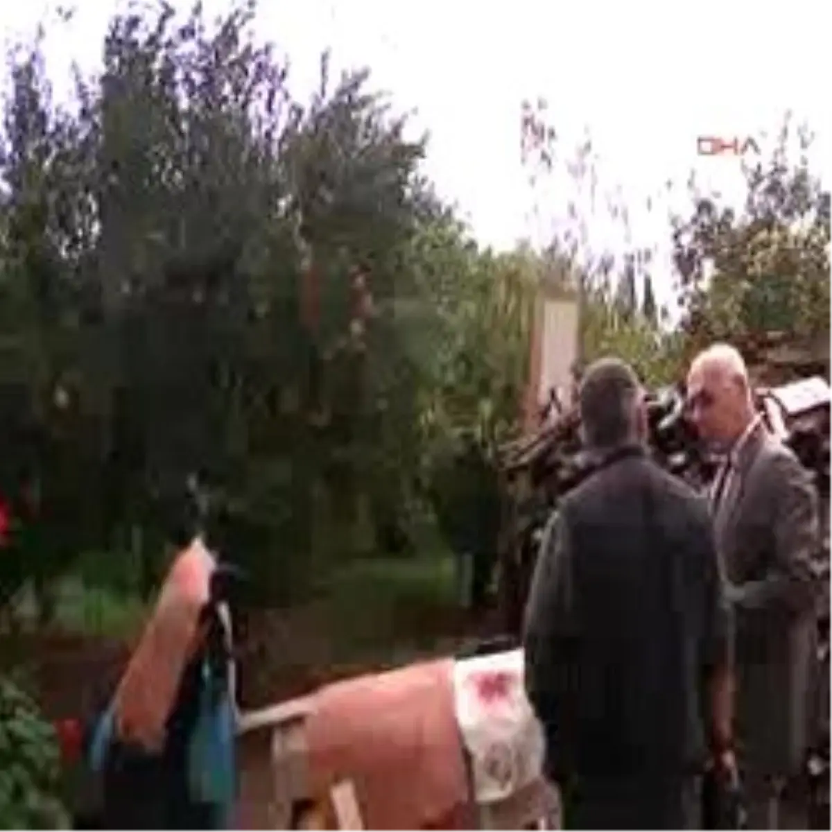 Bodrum Mandalina Festivali´Ne Hazır