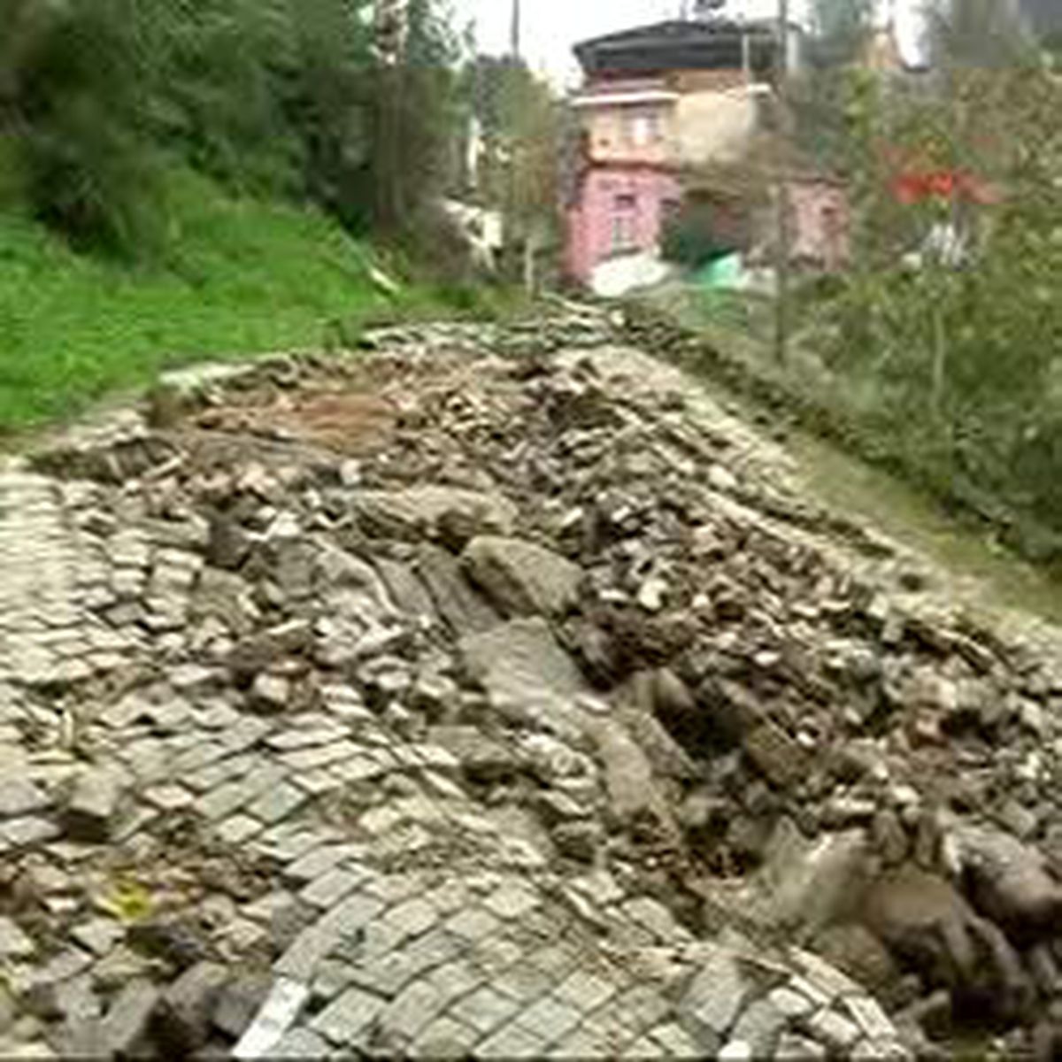 Selzedelerin İsyanı