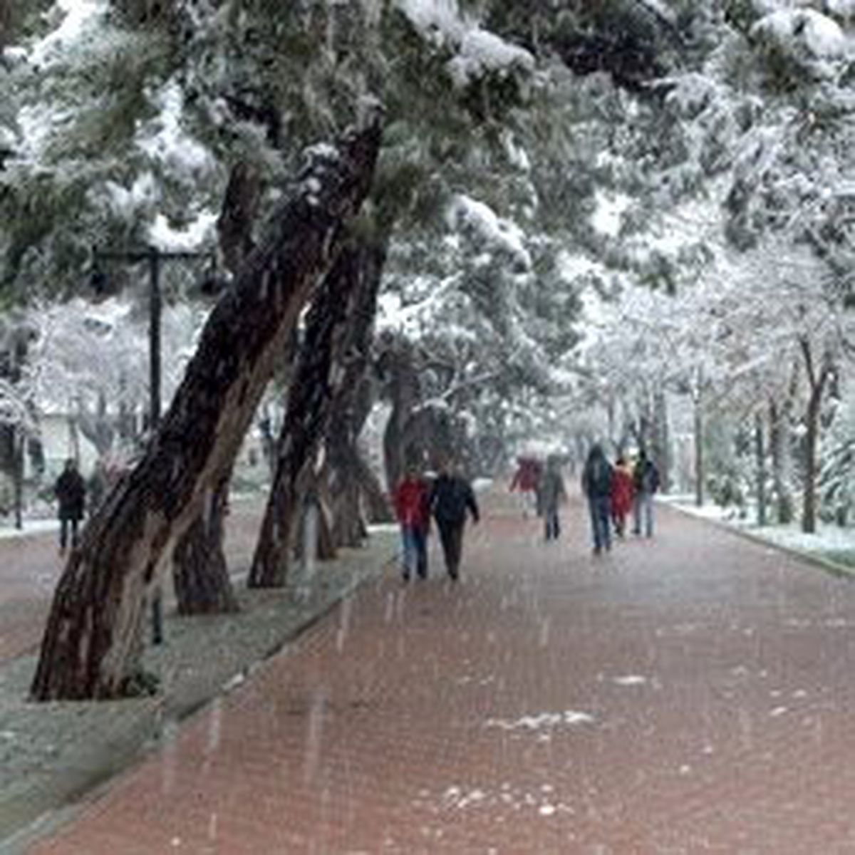 Kırklareli Belediyesi Kışa Hazır