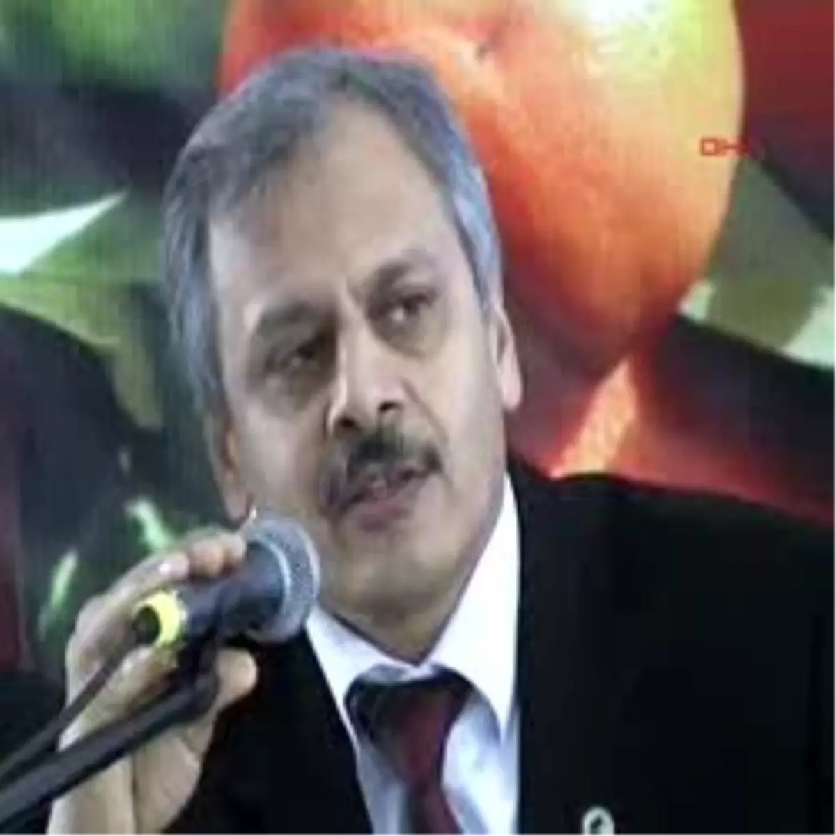 Bodrum\'da Mandalina Paneli