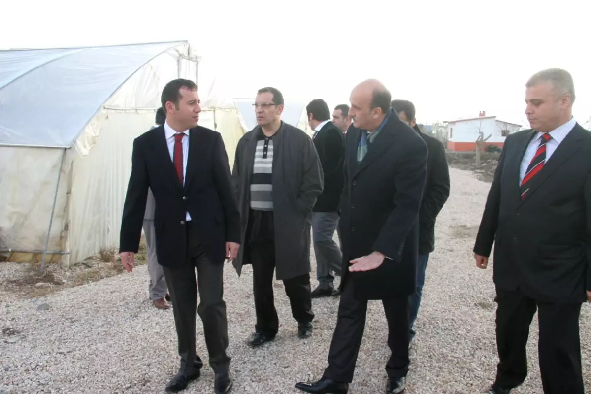 Başkan Selmanoğlu Seralarımız Bölgenin Lokomotifi