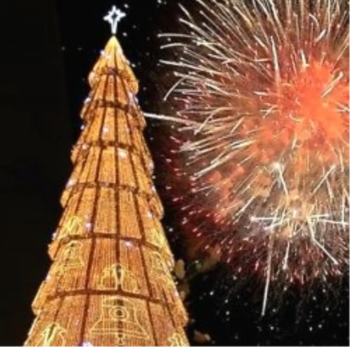 Türk Asıllı Milletvekili Fakir Çocuklar İçin Noel Eğlencesi Düzenledi