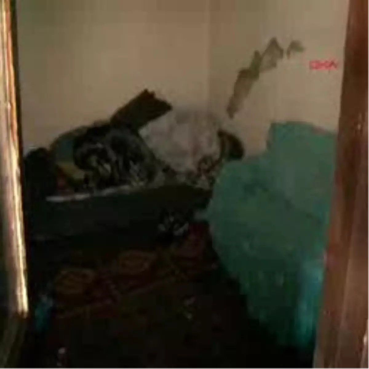 Mum Işığında Yaşam Mücadelesi